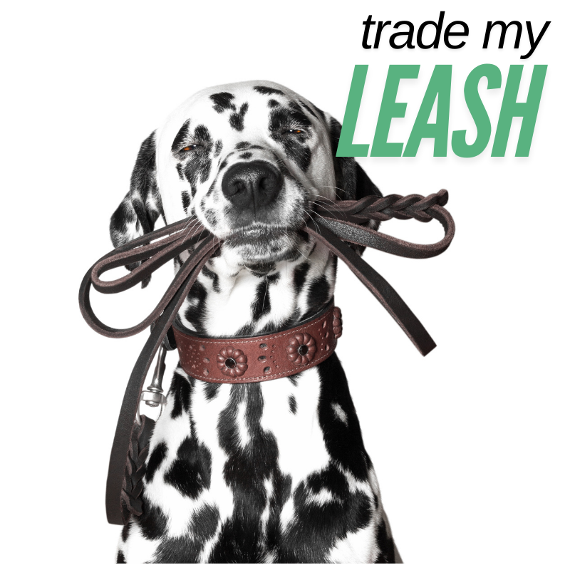 <img src="https://shiftfuelproducts.shop/cdn/shop/files/Adorable_Dog_asking_owner_to_trade_in_his_leash_for_Shift_Fuel_s_stylish_VFW_leash.png?v=1730403269" alt="Adorable dog looking up at owner, eagerly asking to trade in his current leash for Shift Fuel's stylish VFW leash, featuring a comfortable grip 
