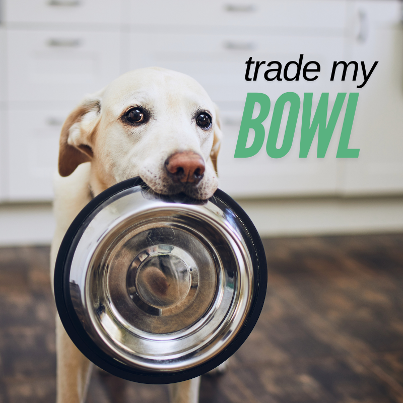 <img src="https://shiftfuelproducts.shop/cdn/shop/files/Cute_dog_asking_owner_to_trade_in_her_bowl_for_a_Shift_Fuel_VFW_Pet_Bowl.png?v=1730404145" alt="A cute dog looking up, playfully asking its owner to trade in its old bowl for a stylish Shift Fuel VFW pet bowl, highlighting the bowl's appealing design." />
